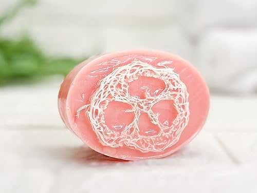 Strawberry & Luffa